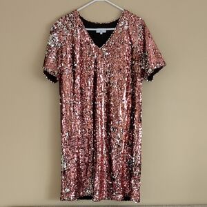 Large Universal Standard By J. Crew Pink And Silver Sequins Dress Birthday